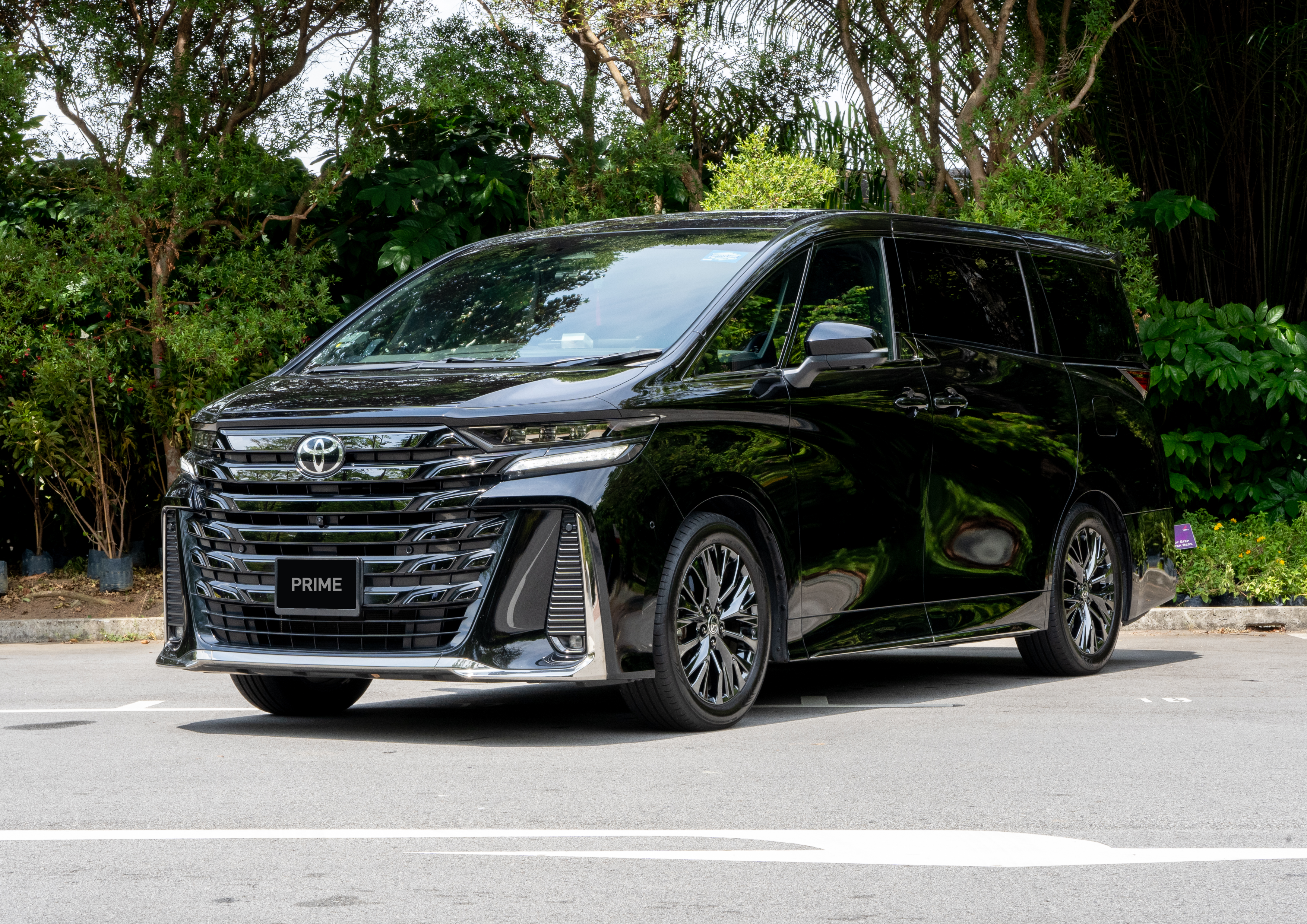 pl alphard